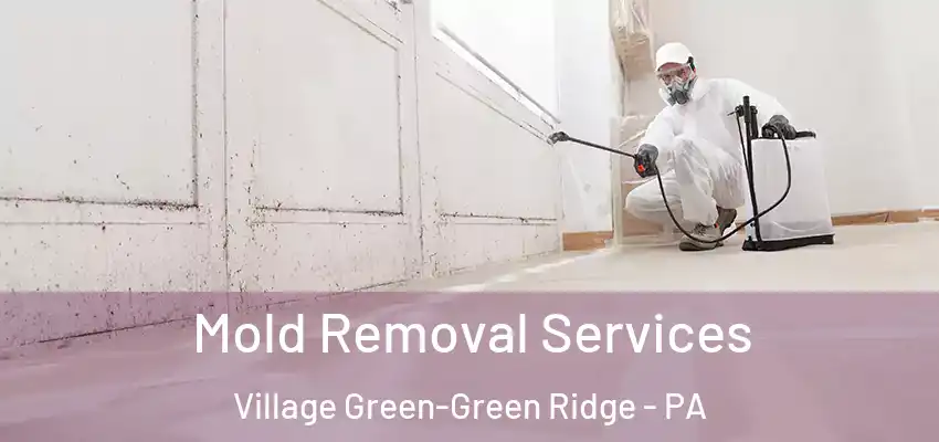 Mold Removal Services Village Green-Green Ridge - PA