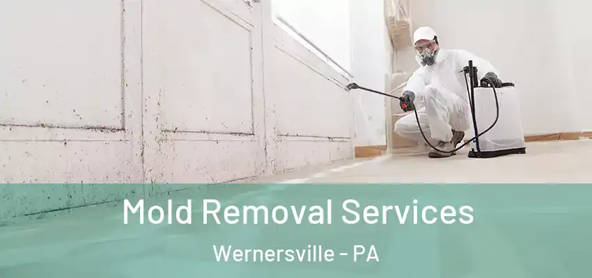 Mold Removal Services Wernersville - PA