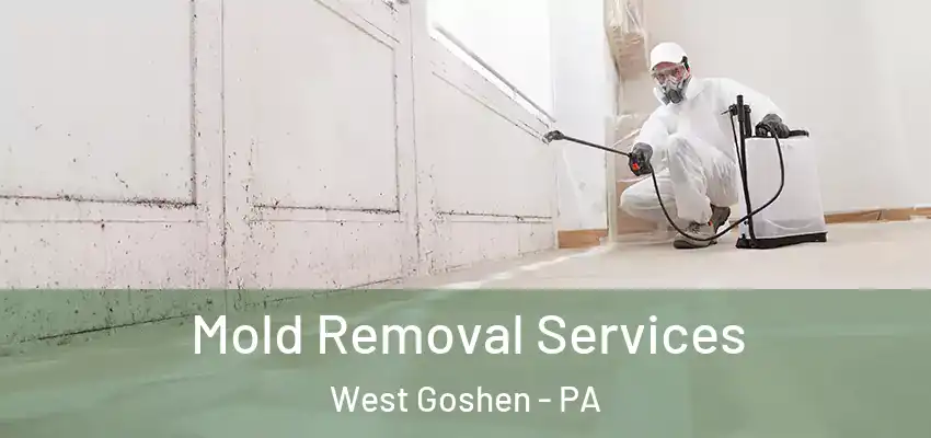  Mold Removal Services West Goshen - PA