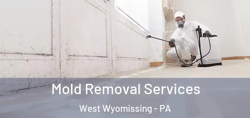  Mold Removal Services West Wyomissing - PA