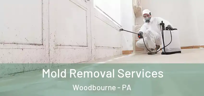 Mold Removal Services Woodbourne - PA