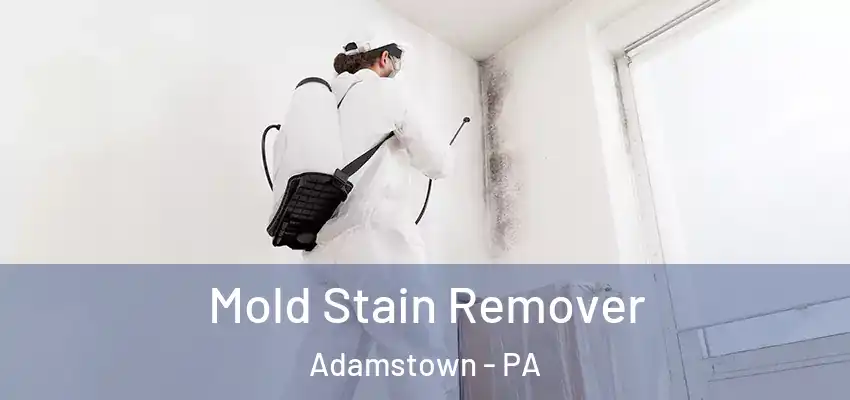  Mold Stain Remover Adamstown - PA