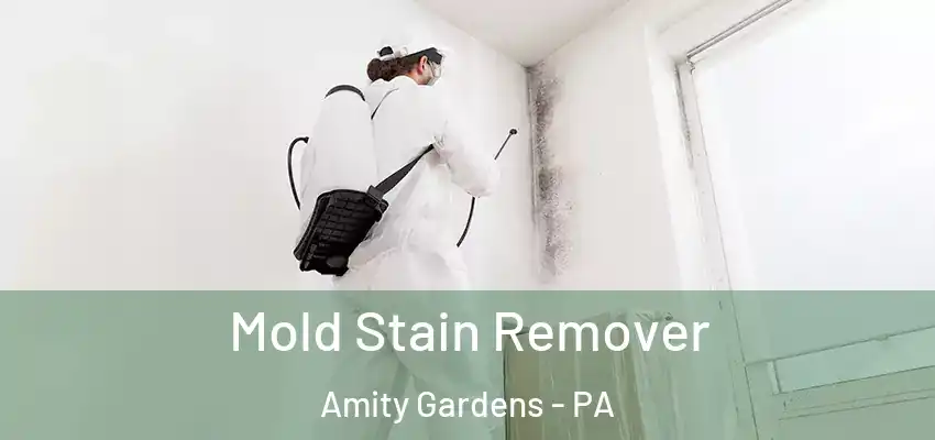 Mold Stain Remover Amity Gardens - PA