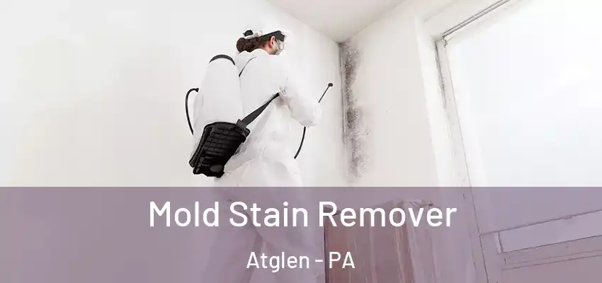  Mold Stain Remover Atglen - PA