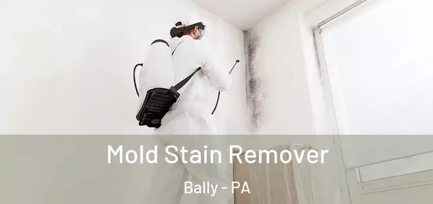  Mold Stain Remover Bally - PA