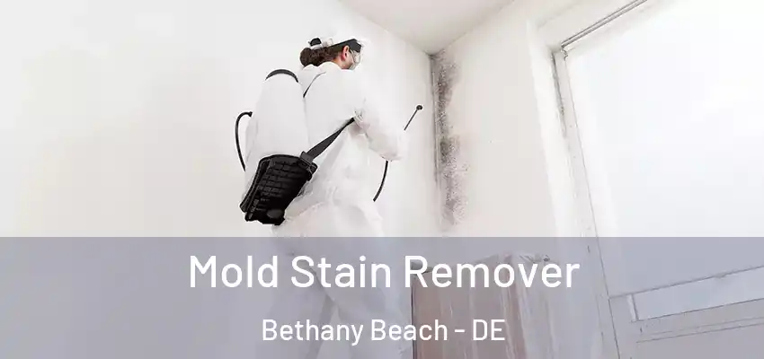Mold Stain Remover Bethany Beach - DE