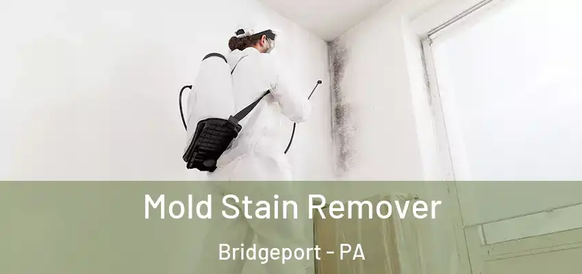  Mold Stain Remover Bridgeport - PA