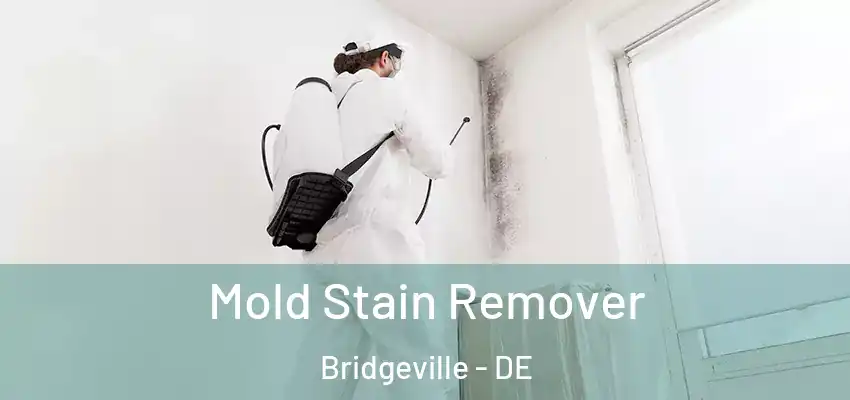  Mold Stain Remover Bridgeville - DE