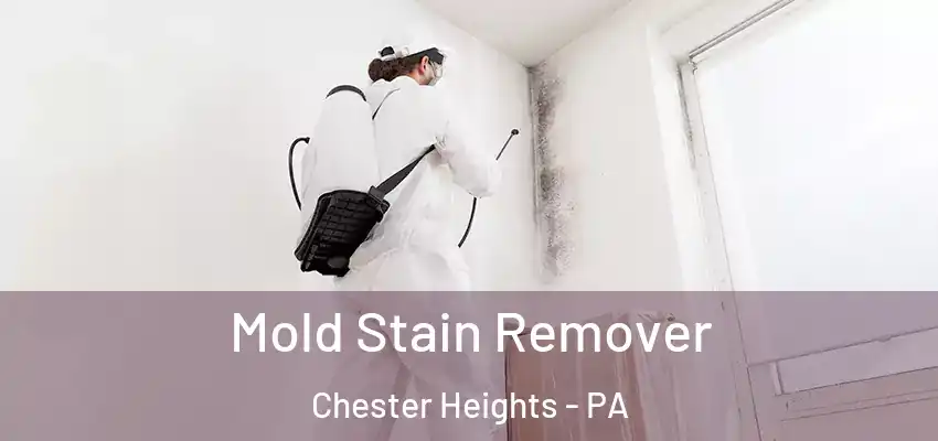 Mold Stain Remover Chester Heights - PA