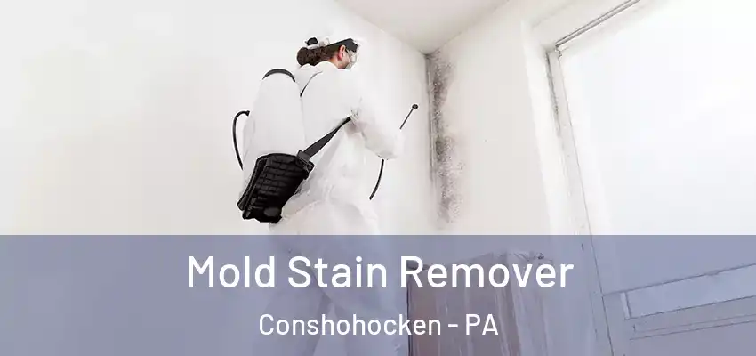  Mold Stain Remover Conshohocken - PA