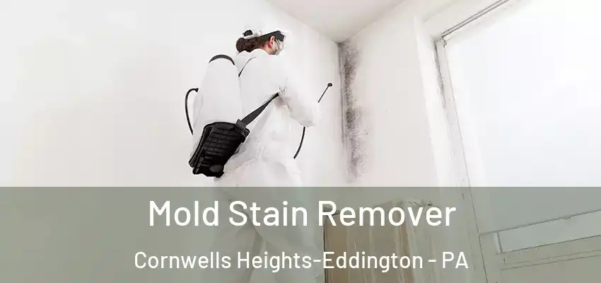 Mold Stain Remover Cornwells Heights-Eddington - PA