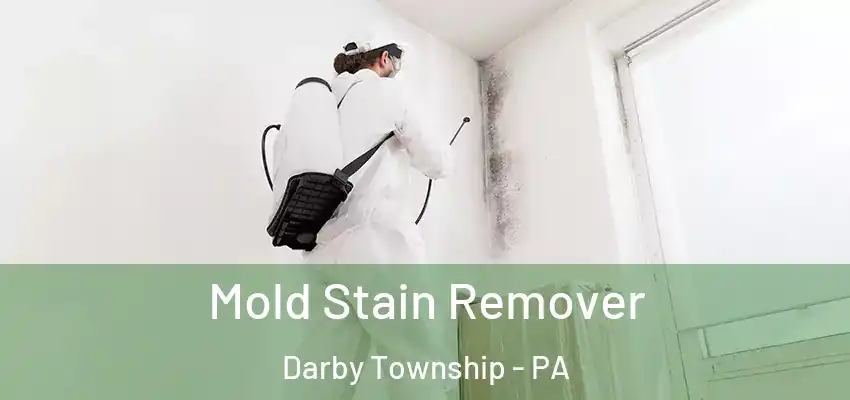Mold Stain Remover Darby Township - PA