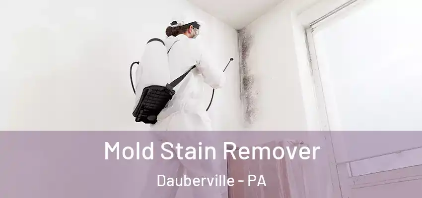  Mold Stain Remover Dauberville - PA