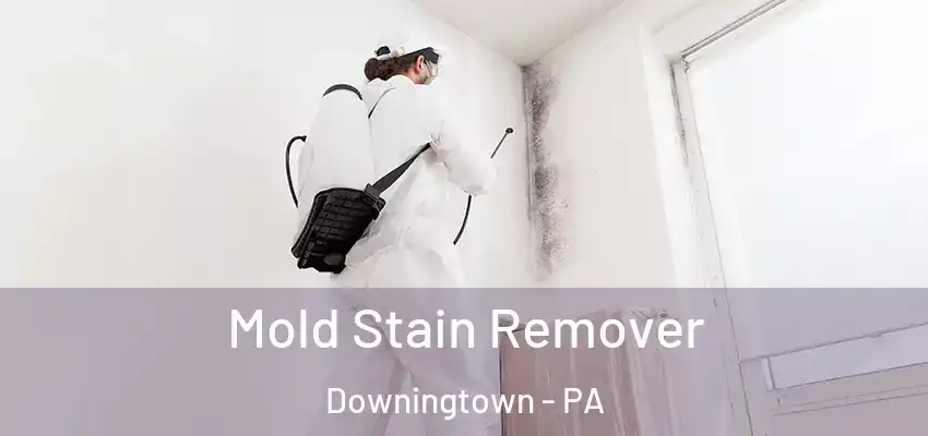  Mold Stain Remover Downingtown - PA
