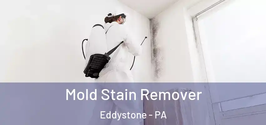  Mold Stain Remover Eddystone - PA