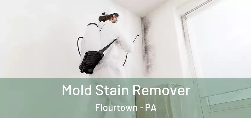  Mold Stain Remover Flourtown - PA
