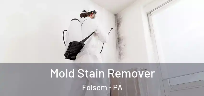 Mold Stain Remover Folsom - PA