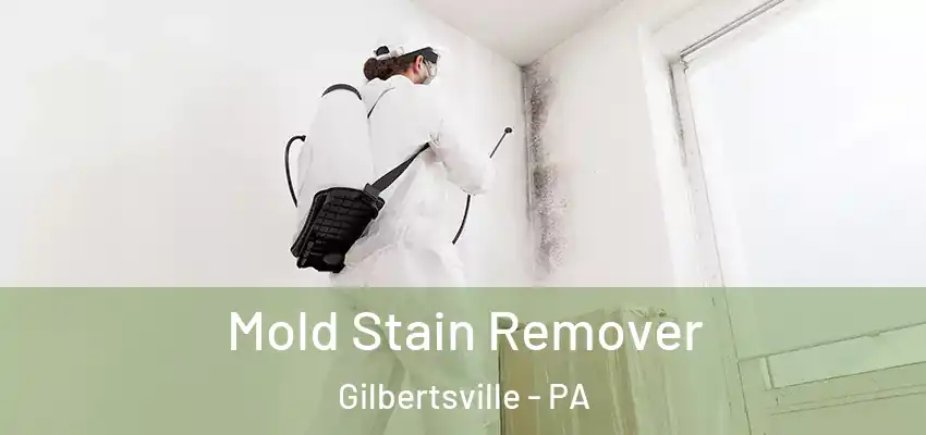 Mold Stain Remover Gilbertsville - PA