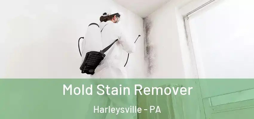  Mold Stain Remover Harleysville - PA