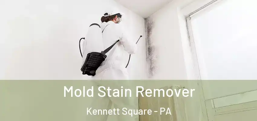 Mold Stain Remover Kennett Square - PA