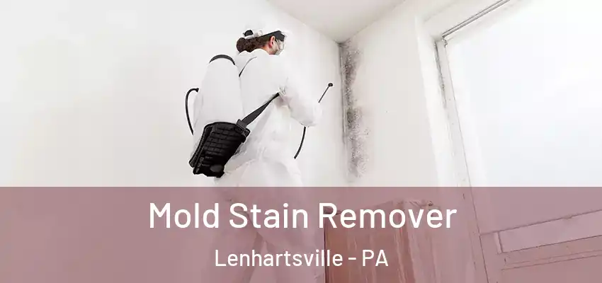 Mold Stain Remover Lenhartsville - PA