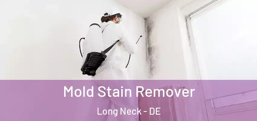 Mold Stain Remover Long Neck - DE