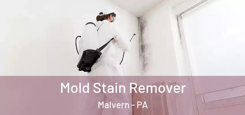 Mold Stain Remover Malvern - PA