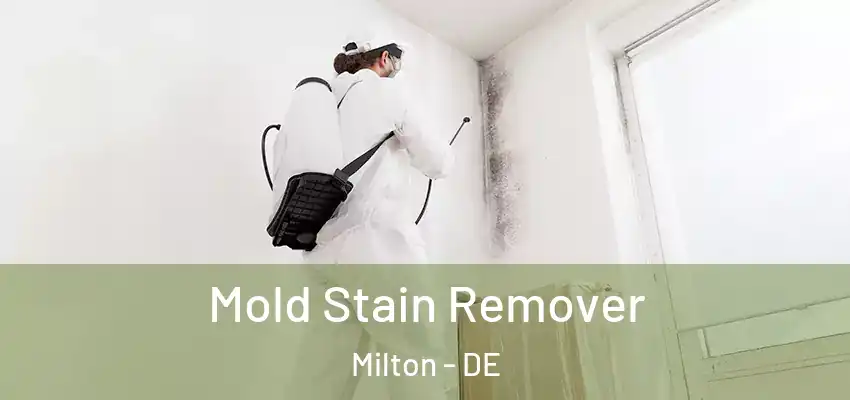 Mold Stain Remover Milton - DE