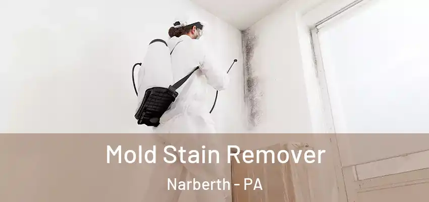 Mold Stain Remover Narberth - PA