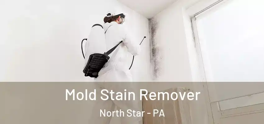  Mold Stain Remover North Star - PA