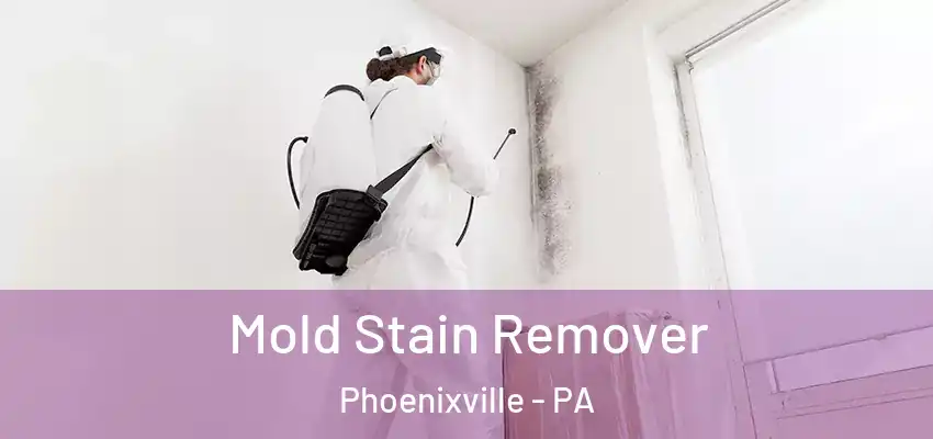  Mold Stain Remover Phoenixville - PA