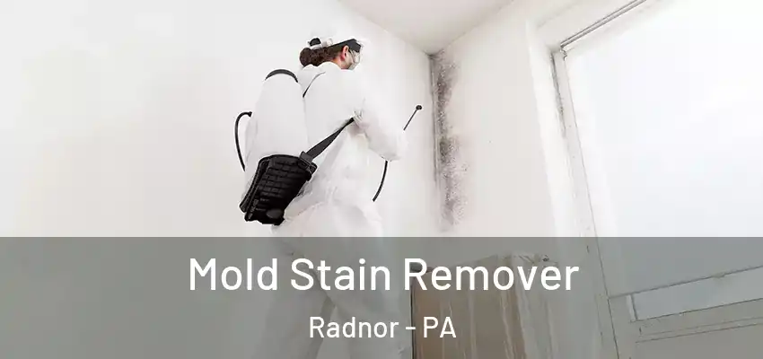 Mold Stain Remover Radnor - PA