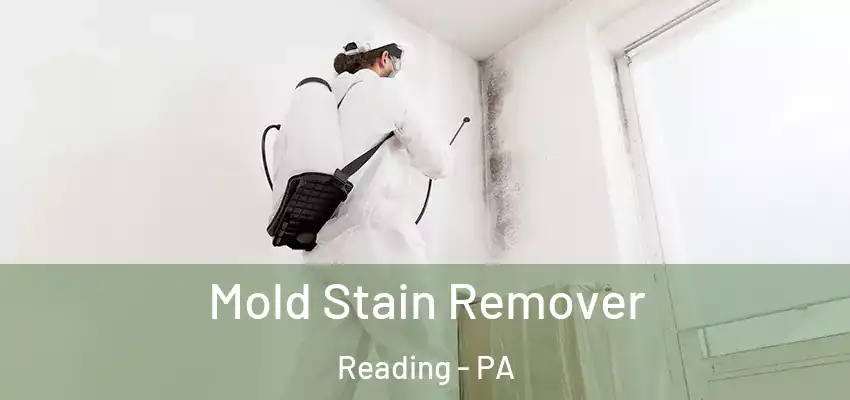 Mold Stain Remover Reading - PA