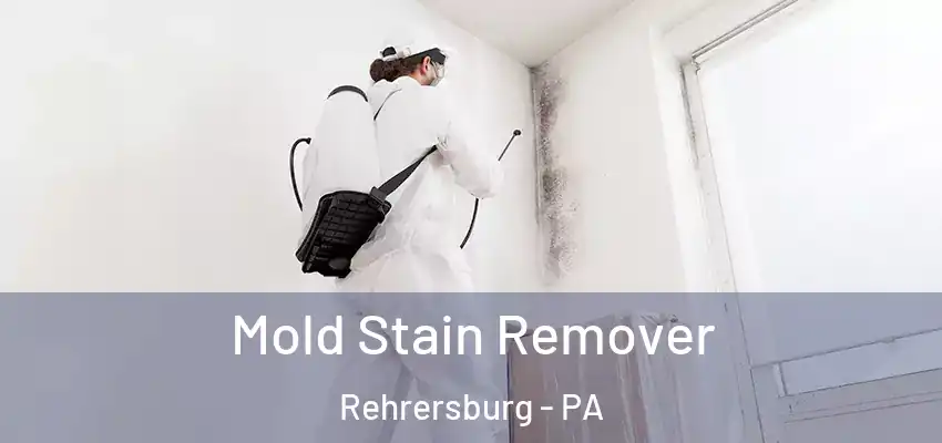 Mold Stain Remover Rehrersburg - PA