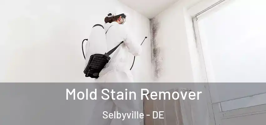  Mold Stain Remover Selbyville - DE