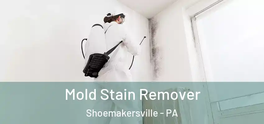 Mold Stain Remover Shoemakersville - PA