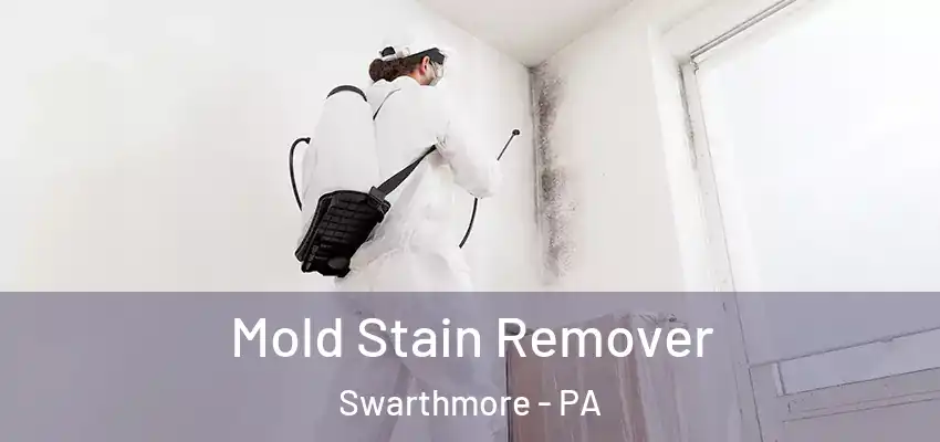  Mold Stain Remover Swarthmore - PA
