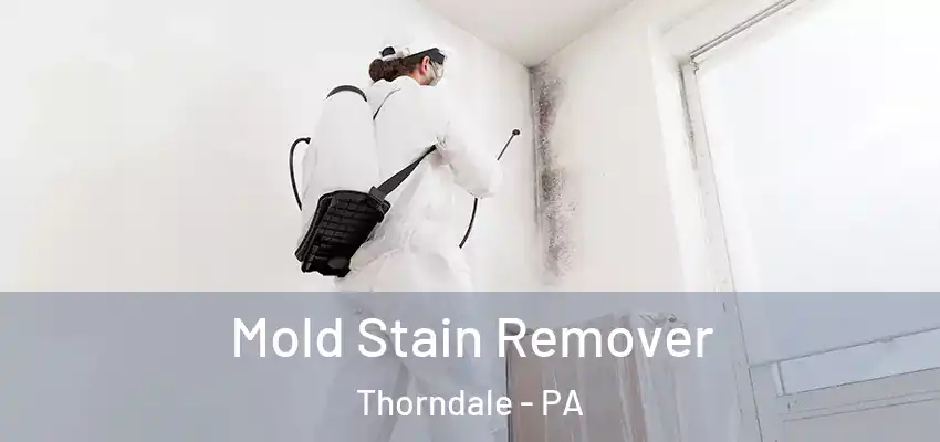 Mold Stain Remover Thorndale - PA