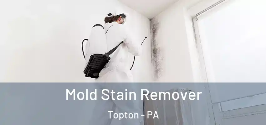 Mold Stain Remover Topton - PA
