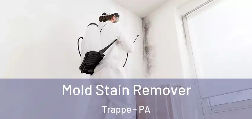 Mold Stain Remover Trappe - PA