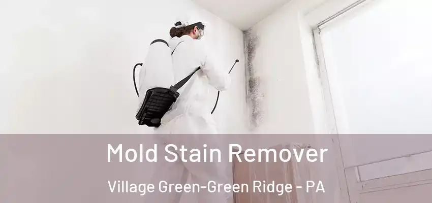 Mold Stain Remover Village Green-Green Ridge - PA