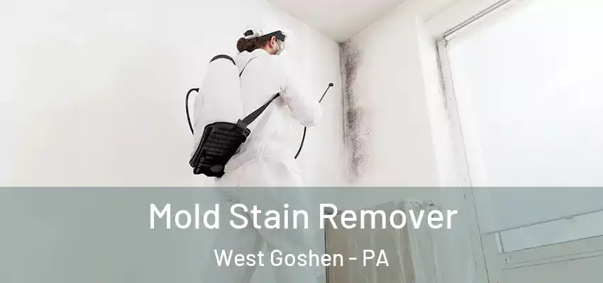 Mold Stain Remover West Goshen - PA