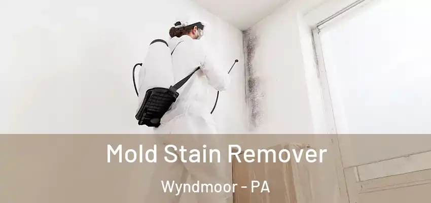 Mold Stain Remover Wyndmoor - PA