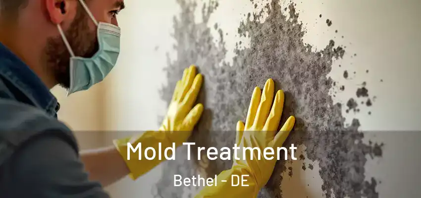  Mold Treatment Bethel - DE