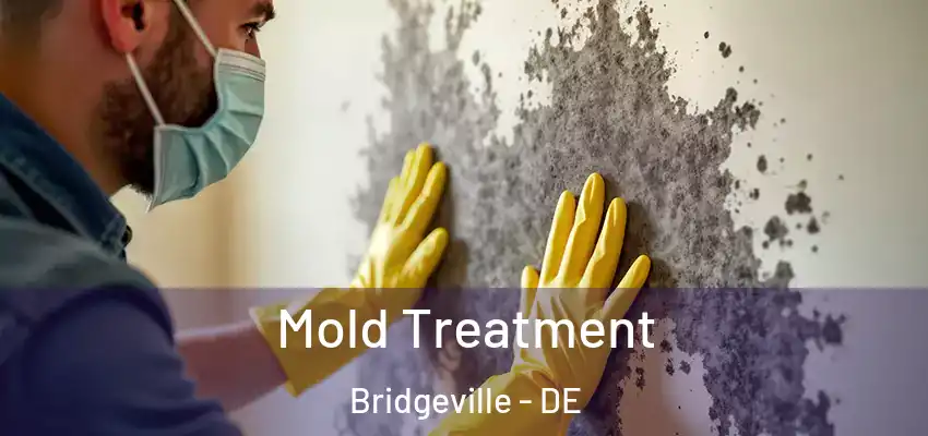  Mold Treatment Bridgeville - DE