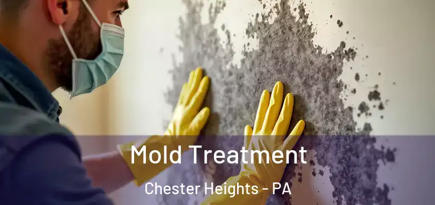 Mold Treatment Chester Heights - PA