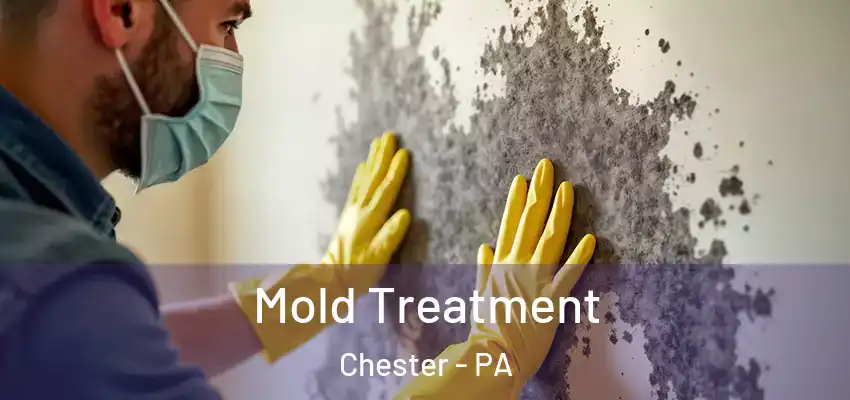  Mold Treatment Chester - PA