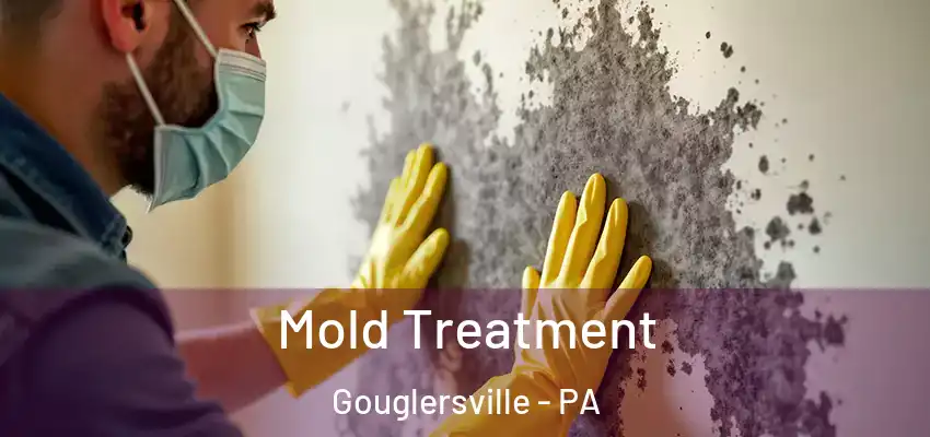 Mold Treatment Gouglersville - PA