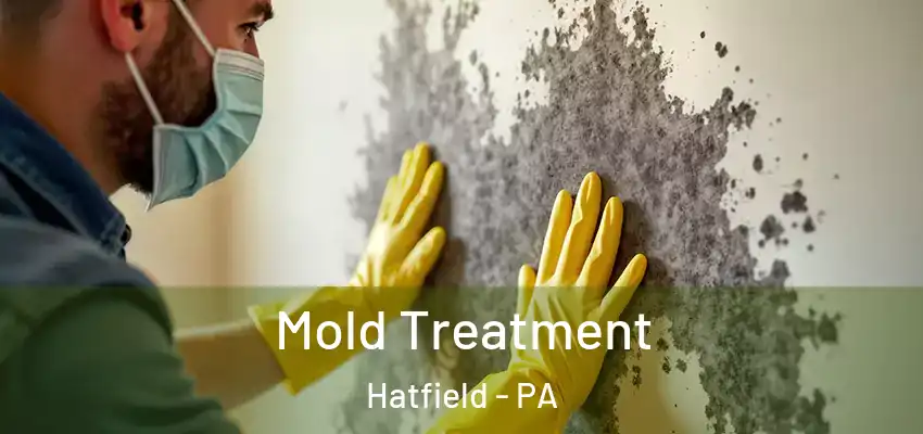  Mold Treatment Hatfield - PA