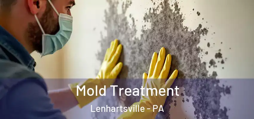 Mold Treatment Lenhartsville - PA